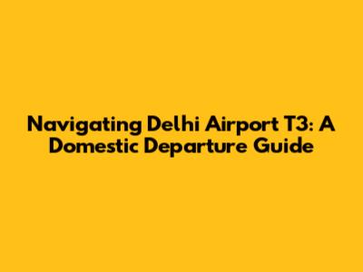 Navigating Delhi Airport T3: A Domestic Departure Guide