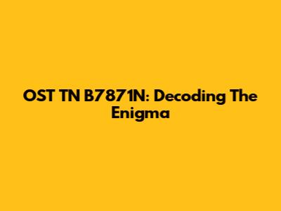 OST TN B7871N: Decoding The Enigma
