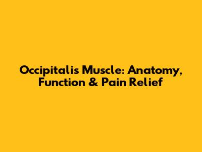 Occipitalis Muscle: Anatomy, Function & Pain Relief