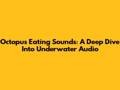 Octopus Eating Sounds: A Deep Dive Into Underwater Audio