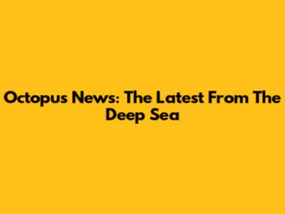 Octopus News: The Latest From The Deep Sea