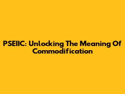 PSEIIC: Unlocking The Meaning Of Commodification