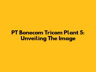 PT Bonecom Tricom Plant 5: Unveiling The Image