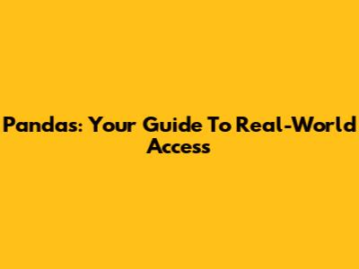 Pandas: Your Guide To Real-World Access