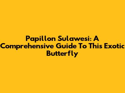Papillon Sulawesi: A Comprehensive Guide To This Exotic Butterfly