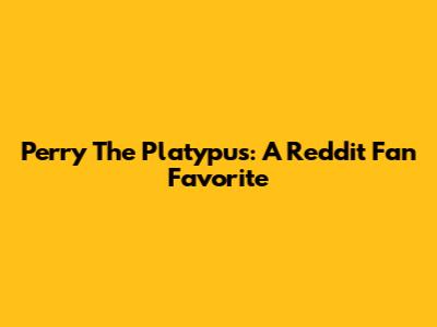 Perry The Platypus: A Reddit Fan Favorite