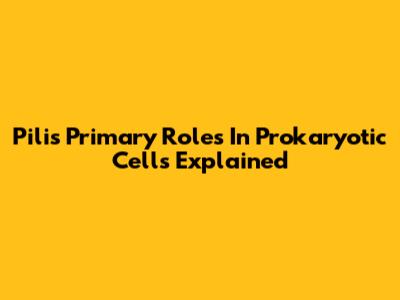Pili's Primary Roles In Prokaryotic Cells Explained