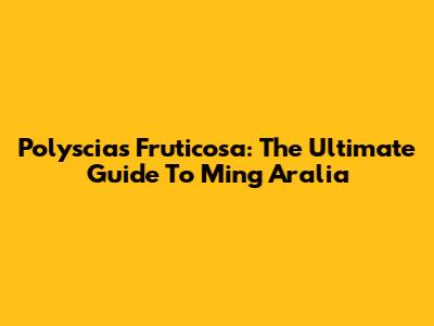 Polyscias Fruticosa: The Ultimate Guide To Ming Aralia