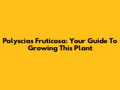 Polyscias Fruticosa: Your Guide To Growing This Plant
