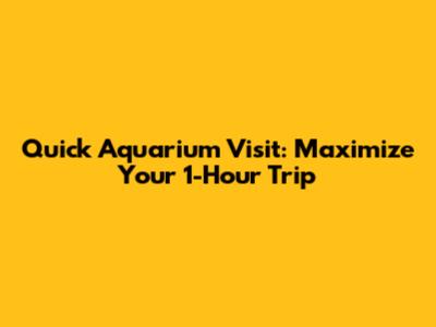 Quick Aquarium Visit: Maximize Your 1-Hour Trip