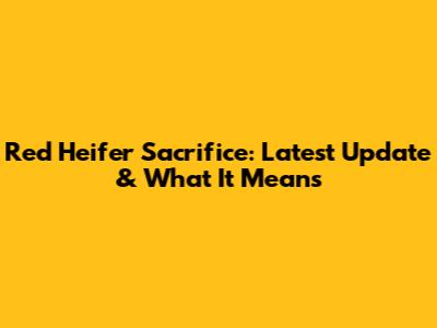 Red Heifer Sacrifice: Latest Update & What It Means