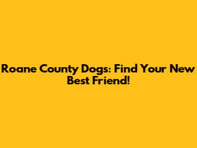 Roane County Dogs: Find Your New Best Friend!
