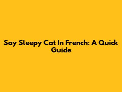 Say 'Sleepy Cat' In French: A Quick Guide