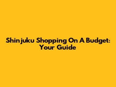 Shinjuku Shopping On A Budget: Your Guide
