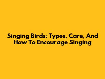 Singing Birds: Types, Care, And How To Encourage Singing