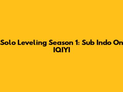 Solo Leveling Season 1: Sub Indo On IQIYI