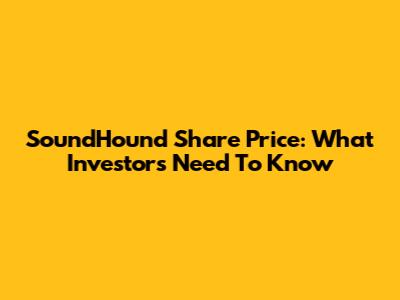 SoundHound Share Price: What Investors Need To Know