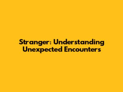 Stranger: Understanding Unexpected Encounters