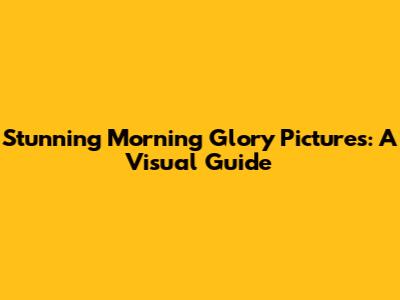 Stunning Morning Glory Pictures: A Visual Guide