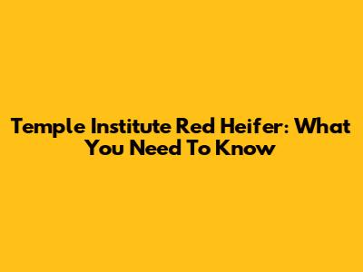 Temple Institute Red Heifer: What You Need To Know