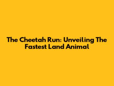 The Cheetah Run: Unveiling The Fastest Land Animal