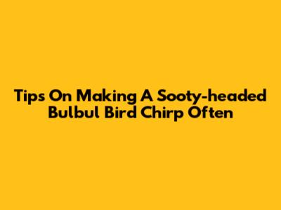 Tips On Making A Sooty-headed Bulbul Bird Chirp Often