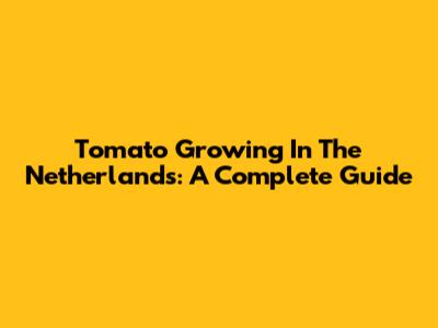 Tomato Growing In The Netherlands: A Complete Guide