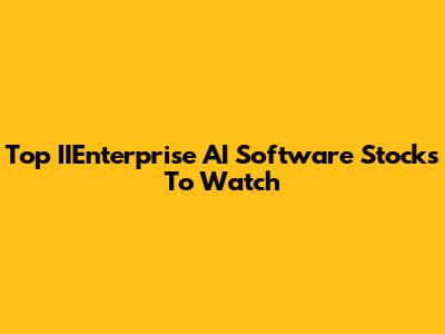 Top IIEnterprise AI Software Stocks To Watch
