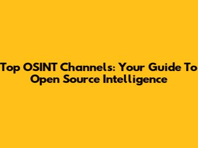 Top OSINT Channels: Your Guide To Open Source Intelligence