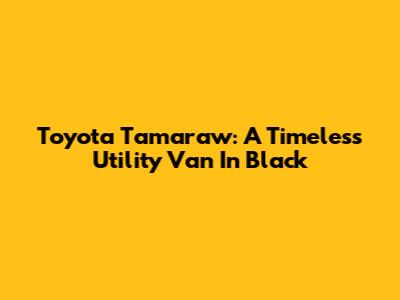 Toyota Tamaraw: A Timeless Utility Van In Black