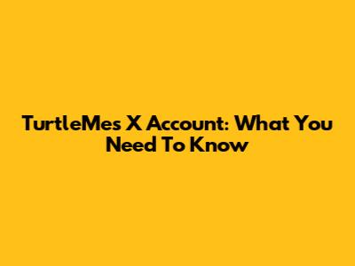 TurtleMe's X Account: What You Need To Know