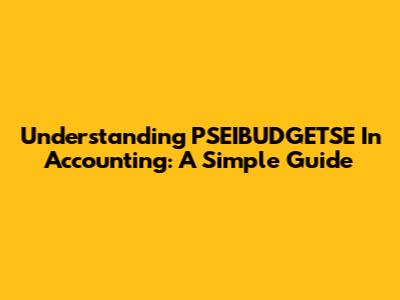 Understanding PSEIBUDGETSE In Accounting: A Simple Guide