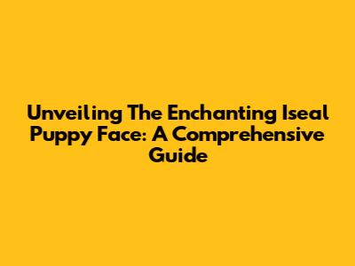 Unveiling The Enchanting Iseal Puppy Face: A Comprehensive Guide