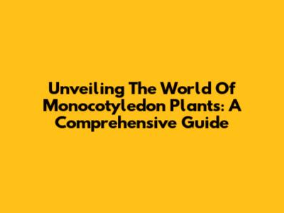 Unveiling The World Of Monocotyledon Plants: A Comprehensive Guide