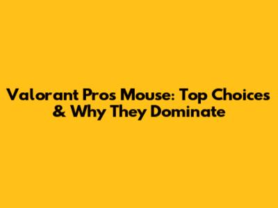 Valorant Pros' Mouse: Top Choices & Why They Dominate