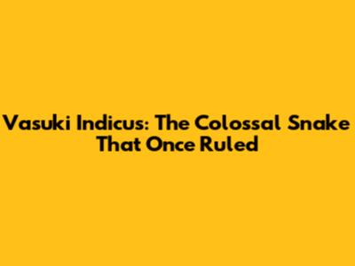 Vasuki Indicus: The Colossal Snake That Once Ruled