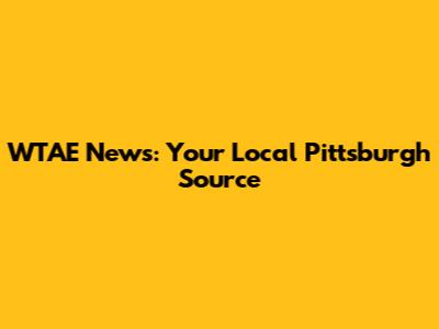 WTAE News: Your Local Pittsburgh Source