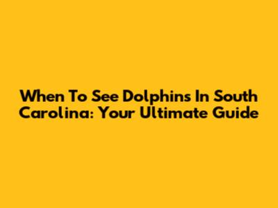 When To See Dolphins In South Carolina: Your Ultimate Guide