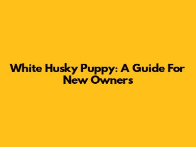 White Husky Puppy: A Guide For New Owners