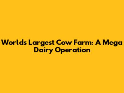 World's Largest Cow Farm: A Mega Dairy Operation