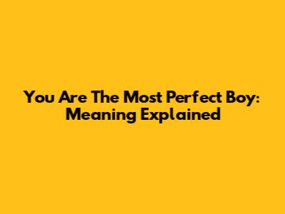 You Are The Most Perfect Boy: Meaning Explained